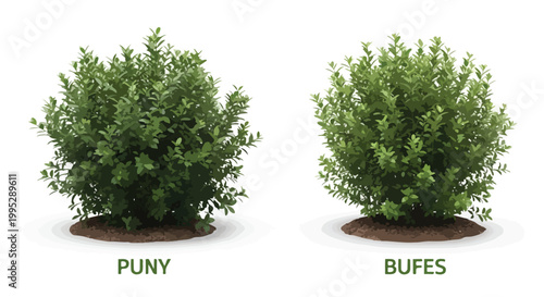 Realistic green garden bushes set, lush puny and bufes shrubbery collection, isolated botanical landscape plants for architectural visualization