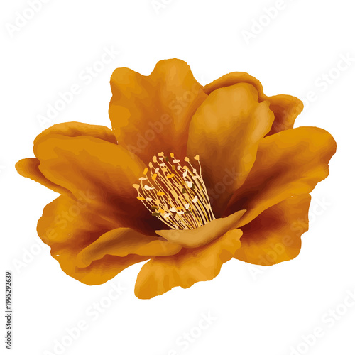golden flower isolated on white background