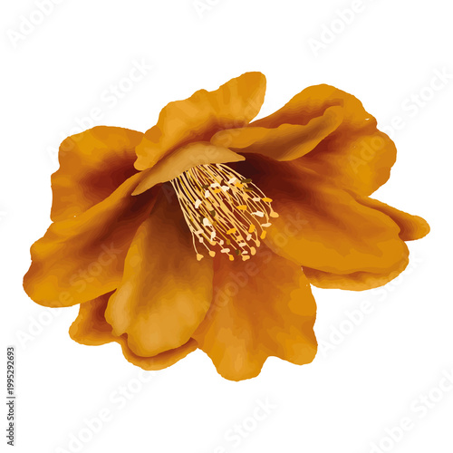golden wedding rings on a flower