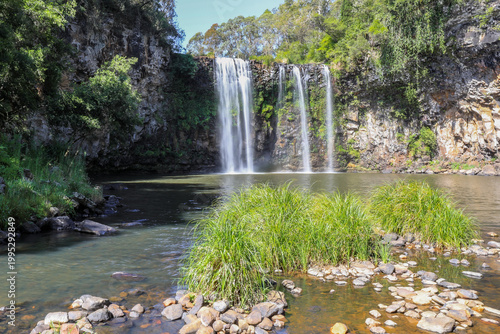 Photos Dangar Falls flowing into pool in Dorrigo, New South Wales, Australia