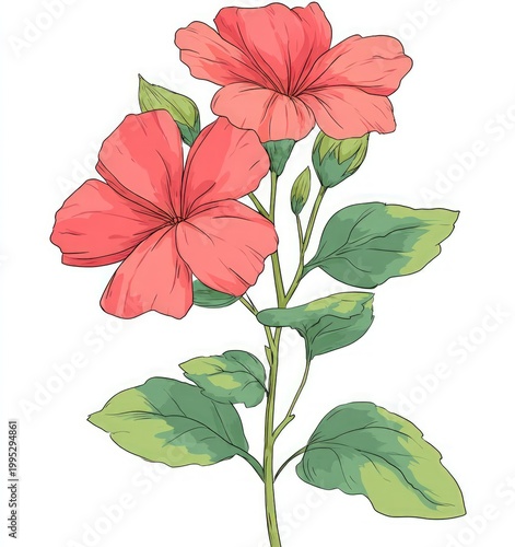 Delicate pink flowers and green leaves on a stem