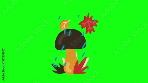 flowers and leaves, background, green screen, animation