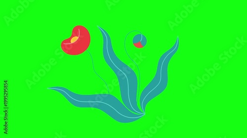 flowers and leaves, background, green screen, animation