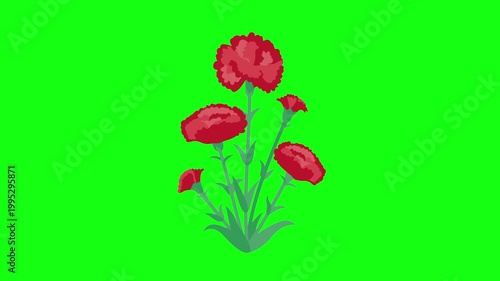 flowers and leaves, background, green screen, animation