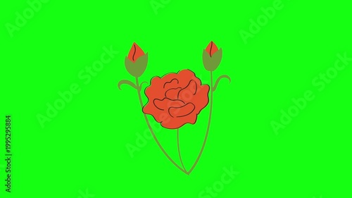 flowers and leaves, background, green screen, animation