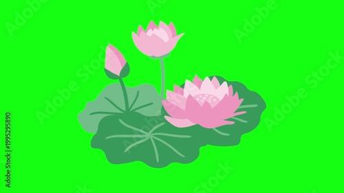 flowers and leaves, background, green screen, animation