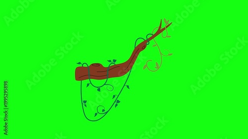 flowers and leaves, background, green screen, animation