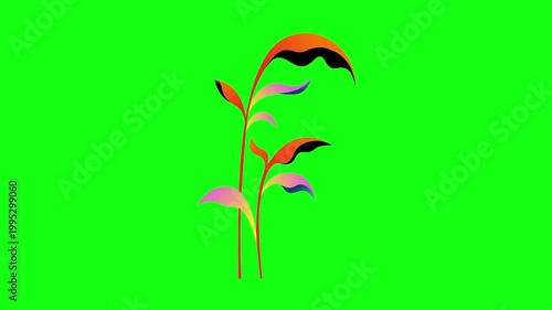 flowers and leaves, background, green screen, animation