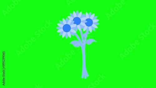 flowers and leaves, background, green screen, animation