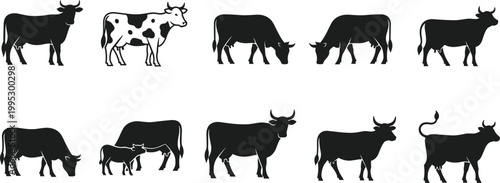 Cow silhouettes icons set with cattle livestock farm animals minimal vector collection agriculture design elements pack