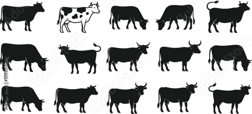 Cow silhouettes icons set with cattle livestock farm animals minimal vector collection agriculture design elements