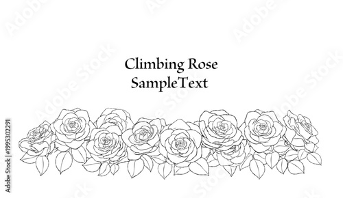 手描きのバラの花の線画フレームイラスト