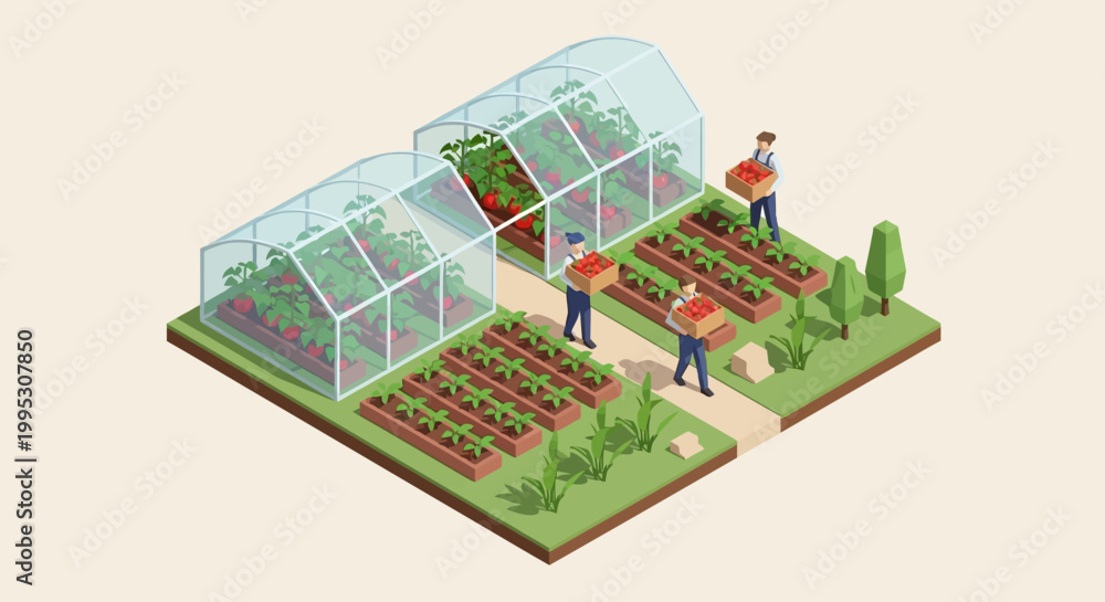 Obraz premium Isometric View of Modern Greenhouse Farming Gardeners Harvesting Fresh Tomatoes and Vegetables in a Sustainable Agricultural Setting