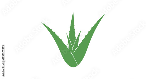 Green Bamboo Leaves Illustration.