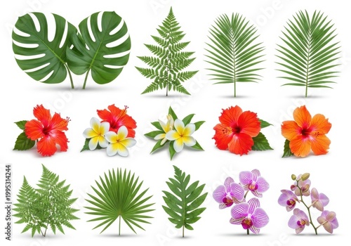 vibrant tropical plants and flowers set on white background for design