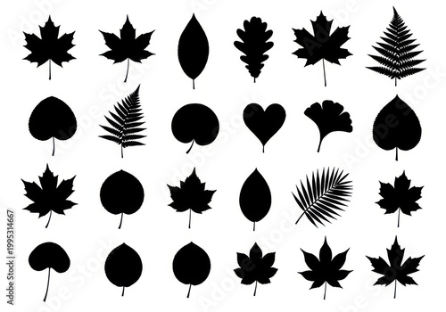 collection of black and white hand-drawn leaf and foliage illustrations on white background