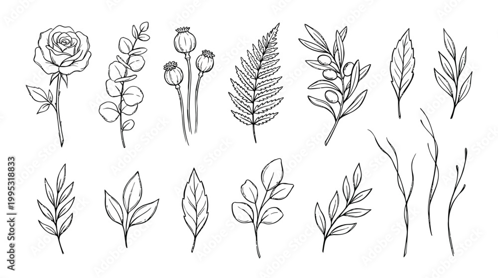 Fototapeta premium Elegant botanical line art collection of flowers and foliage illustrations