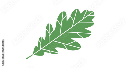 Green Oak Leaf Illustration with White Veins.