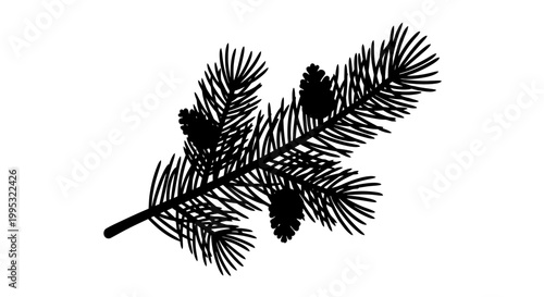 Pine Tree Branch with Cones Silhouette.