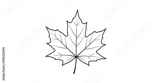 фотографія Black and White Maple Leaf Illustration.