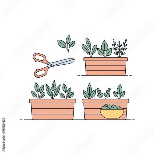 Gardening potted plants and scissors for cultivating herbs