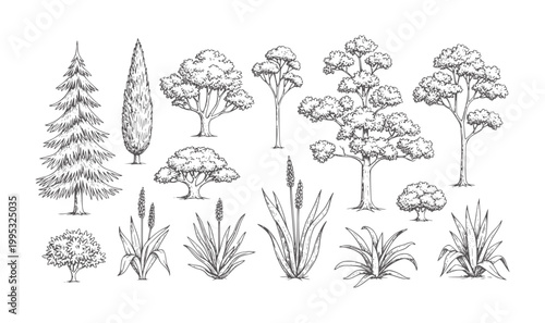 Collection of hand drawn trees and plants in style nature botanical foliage