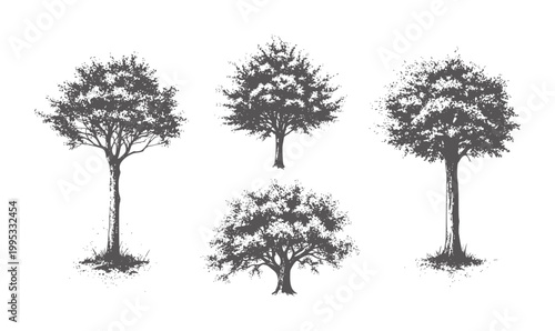 Four dark grey textured trees a white nature forest foliage