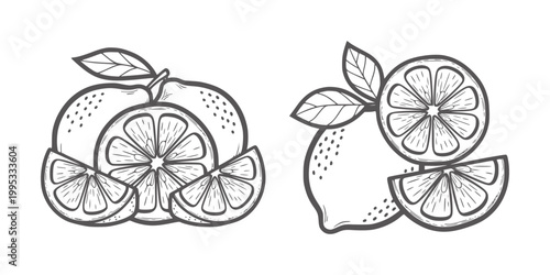Hand drawn citrus fruits lemon and orange slices with leaves