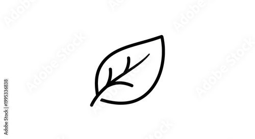 minimalist black line art leaf sketch isolated on white background