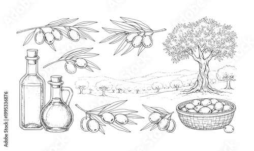Hand drawn olive grove with bottles of oil and basket of olives tree branch