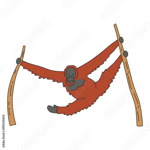 Orangutan illustration