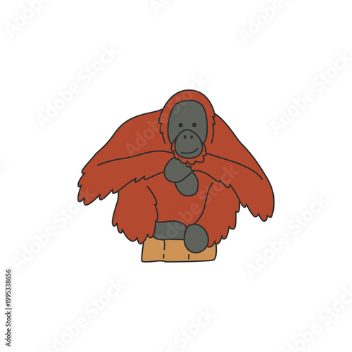 Orangutan illustration