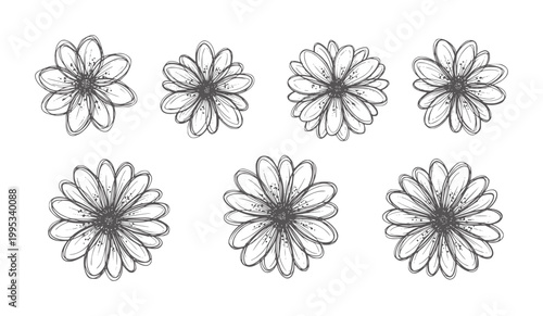 Seven hand drawn dark grey daisy flowers arranged in two rows