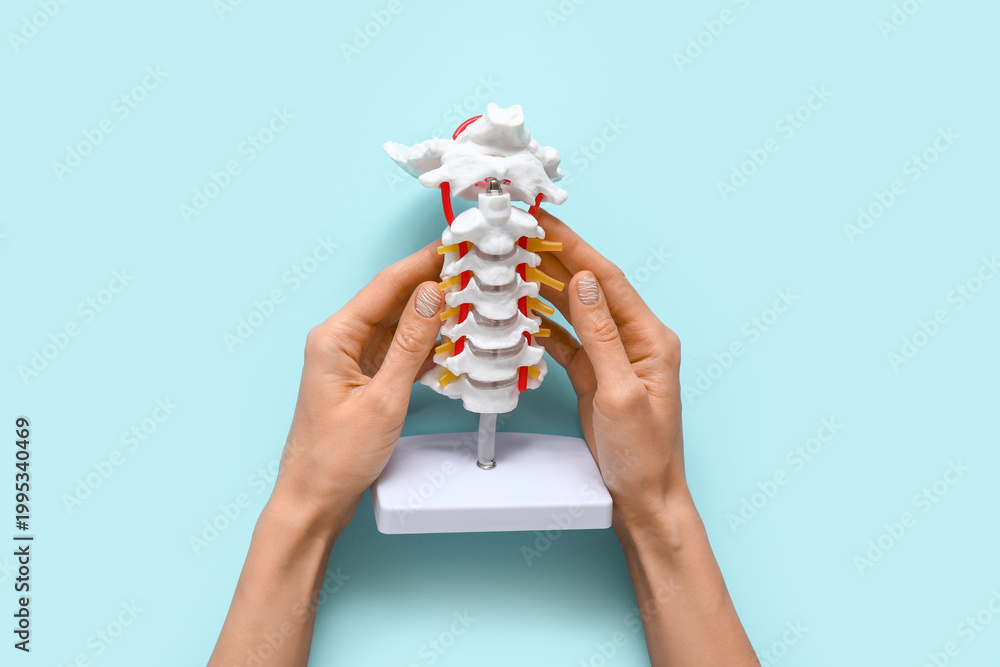 Obraz premium Woman with spine model on blue background
