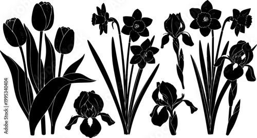 Vector black silhouettes of spring flowers (tulips, narcissus and iris) isolated on a white background.
