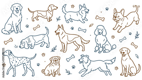 Dog breeds doodle icon set hand drawn vector illustration