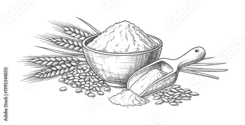 Wheat grains flour bowl and scoop
