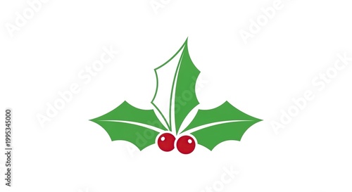 holly leaf branch with red berries isolated on white background