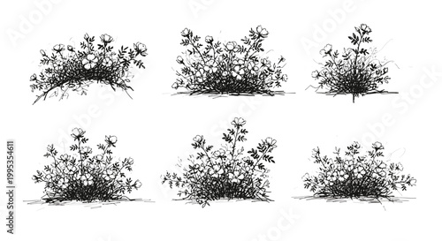 Floral Bushes, Black and White, Vector Illustrations, Garden Elements, 6 Piece Set isolated on White Background