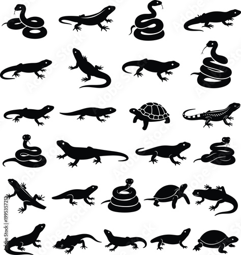 Silhouettes of reptiles and amphibians with cold blooded non venomous amphibian silhouette