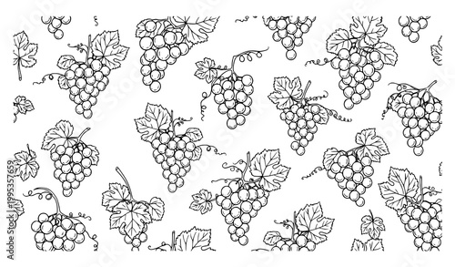 Monochrome Grape Cluster Seamless Pattern Vector Fruit Design