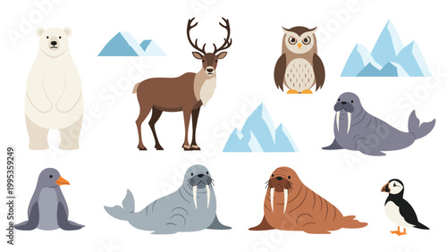 Diverse collection of arctic and antarctic polar animals on ice, set featuring polar bears, seals, walruses, and birds in snowy habitat.