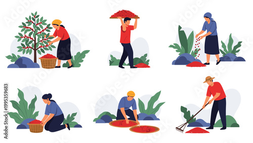 Comprehensive set of farm workers harvesting ripe coffee berries from trees and processing them into baskets on the plantation, flat vector style.
