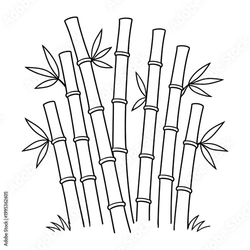 Bamboo Stalks and Leaves Line Art Vector Illustration