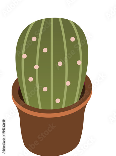 cactus colorful illustration