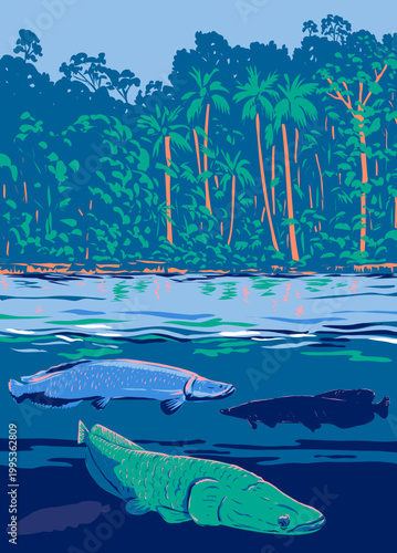 WPA poster art of arapaima, pirarucu or paiche, a bonytongue in the genus Arapaima native to the Amazon River or Rio Amazonas in South America done in works project administration or Art Deco style.