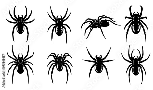 Spider silhouette icon set with top side and front view realistic insect shapes isolated on white