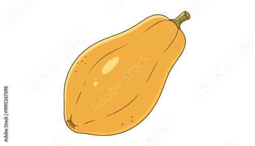 Vector illustration of a ripe yellow papaya fruit isolated on white background