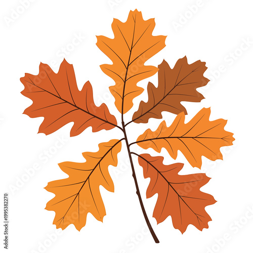Autumn oak branch vector with orange and brown leaves