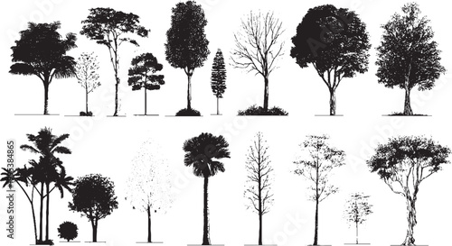 Old style forest scene with grunge overlay texture Artistic tree illustration with vintage distressed look